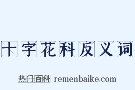 十字花科反义词是什么意思的图片